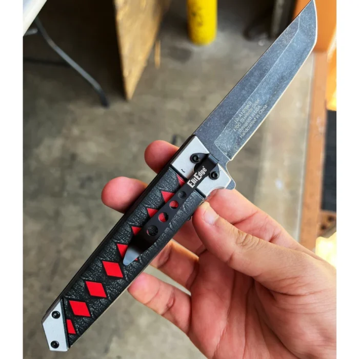 DS B